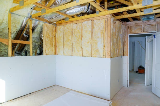 Types of Insulation We Offer in Lakeshore, LA