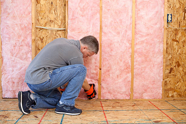 Best Eco-Friendly Insulation in Keshore, LA